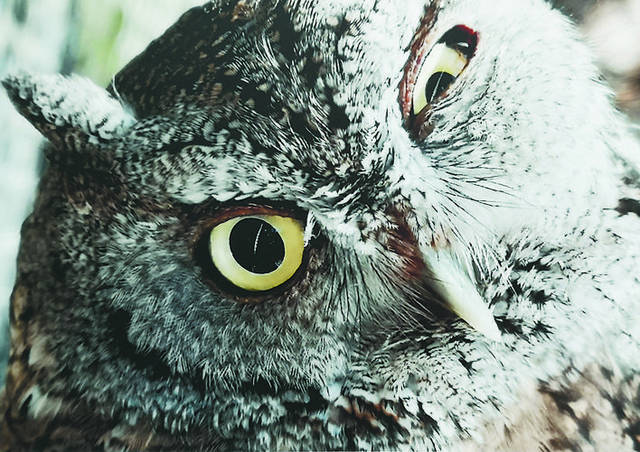 http://5b0988e595225.cdn.sohucs.com/q_70,c_zoom,w_640/images/20190520/c81c5d61f32c42df806819439776e879.jpeg